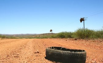 Did Tire Gators Cause Your Truck Crash?